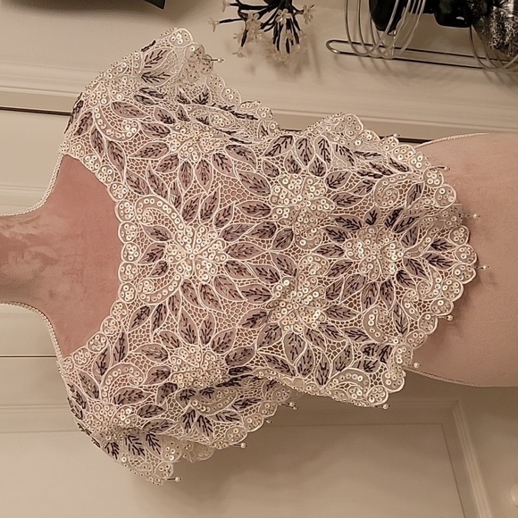 Vintage Beaded and Sequin Shawl / Collar - Picture 1 of 10